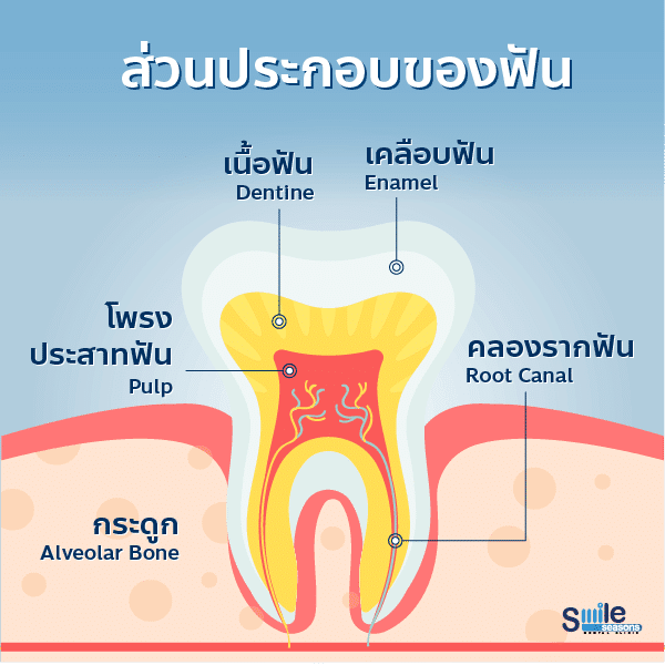 รักษารากฟันเจ็บไหม