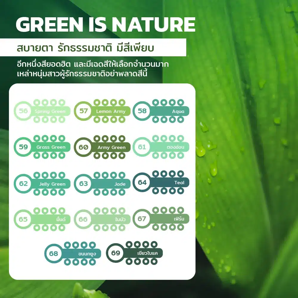 สียางจัดฟันสีเขียว