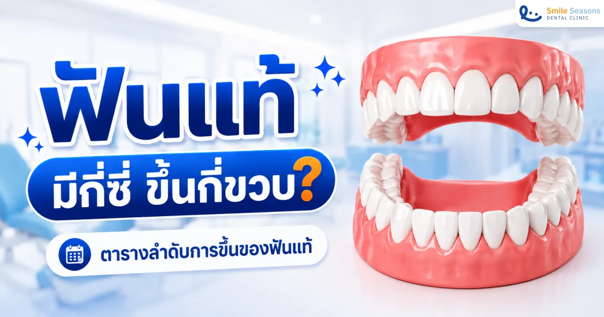 ฟันแท้มีกี่ซี่และขึ้นกี่ขวบ พร้อมตารางลำดับการขึ้นของฟันแท้
