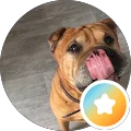sornbannasorn namlo Avatar