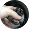 constanceqjl Avatar